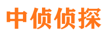 内江市调查公司